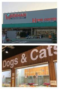 綿半スーパーセンター塩尻ドッグ&キャッツ塩尻店