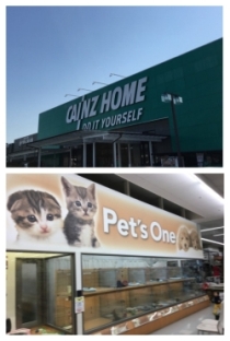 カインズホーム豊科店ペッツワン豊科店